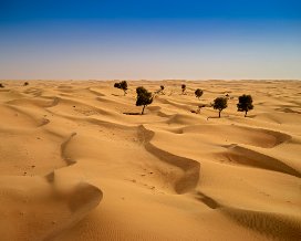 Desert Photos Dubai